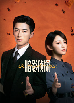 暗影侦探封面图